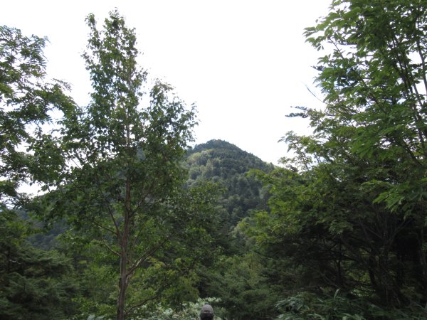 登山道